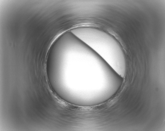 X0000066541473200603201413