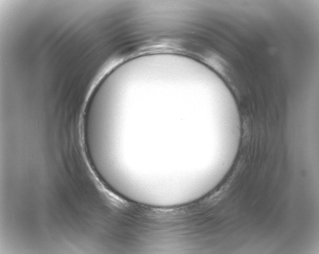 X0000066541474200603201413