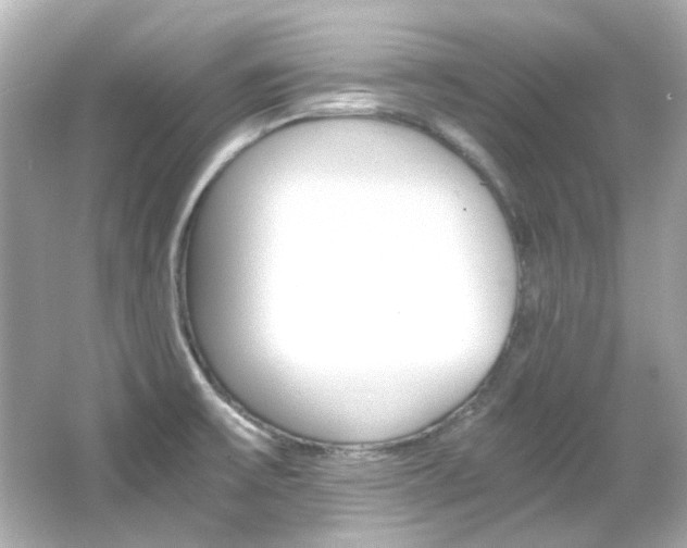 X0000066541475200603201413