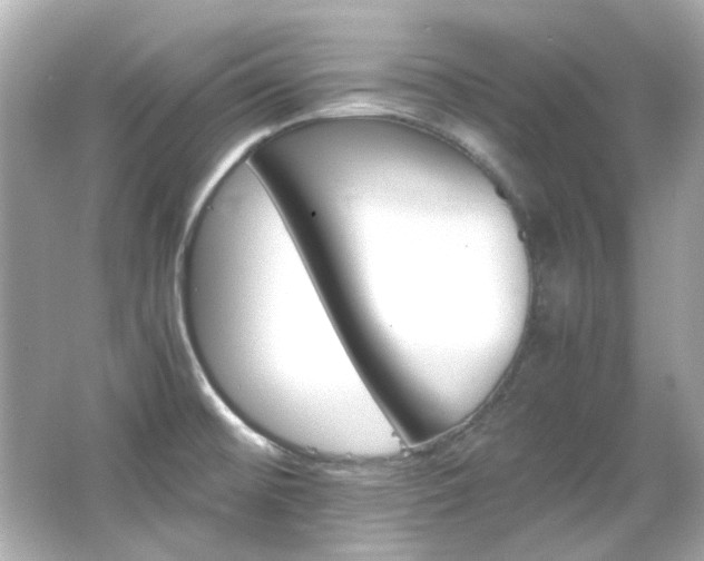 X0000066541476200603201413