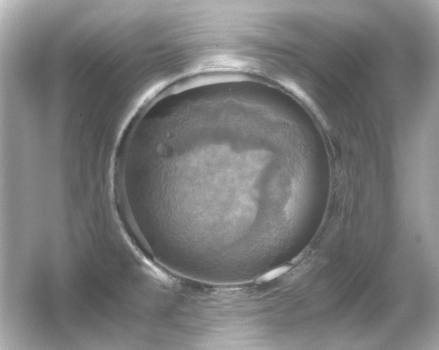 X0000066541477200603201413