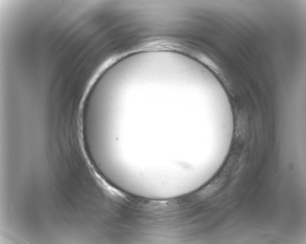 X0000066541478200603201413