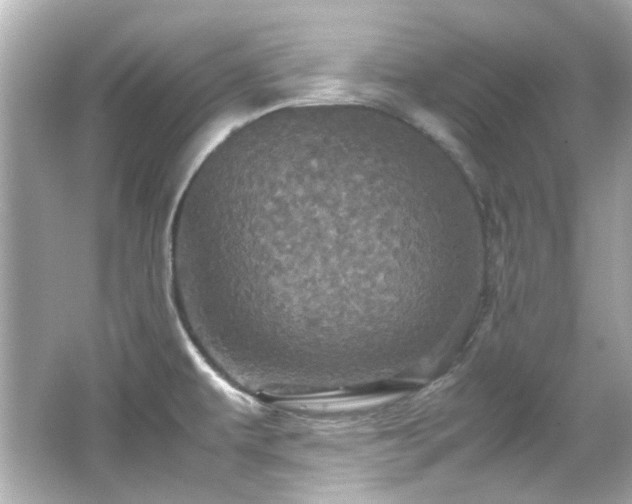 X0000066541479200603201413