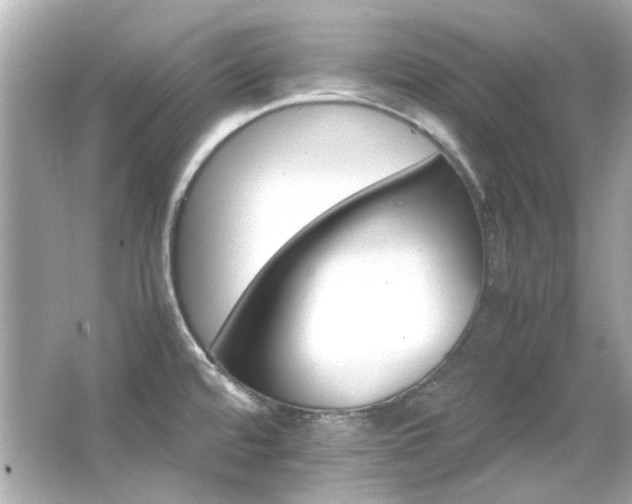 X0000066541480200603201413