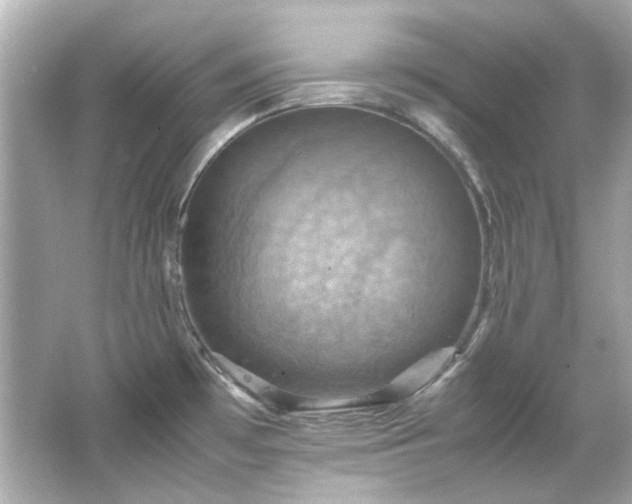 X0000066541481200603201413