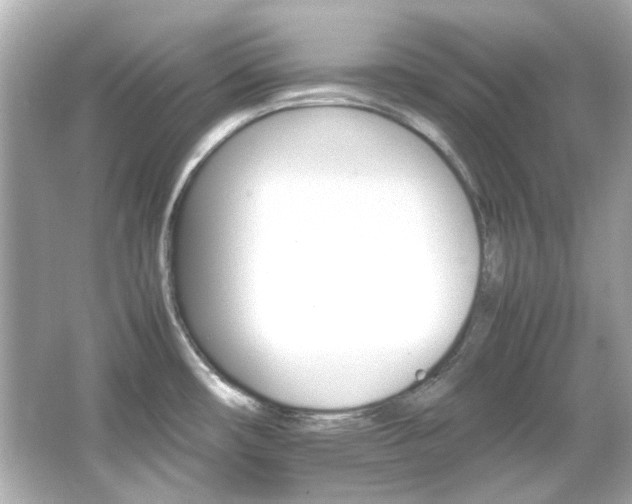 X0000066541482200603201413