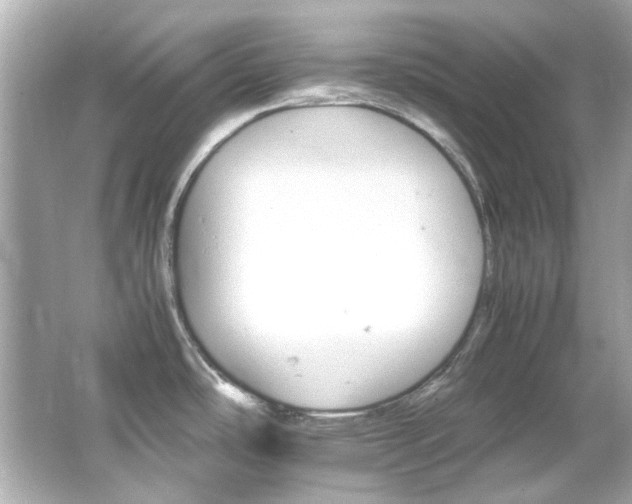 X0000066541486200603201413