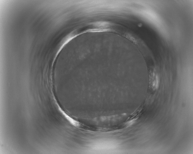 X0000066541487200603201413