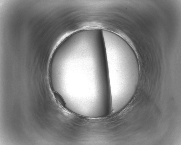 X0000066541488200603201413