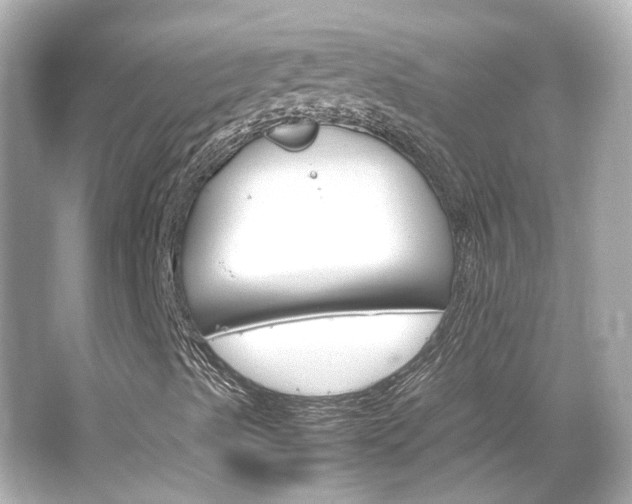 X0000066541489200603201412