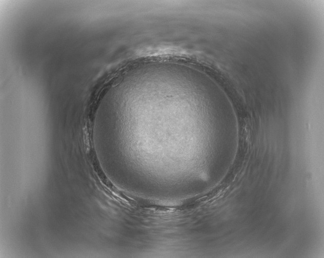 X0000066541493200603201412