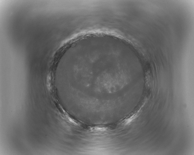 X0000066541494200603201412