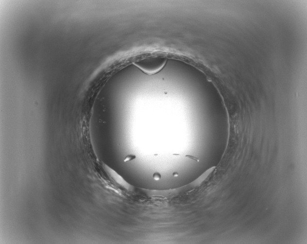 X0000066541495200603201412