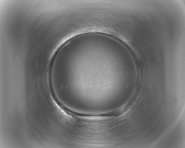 X0000066541500200603201412