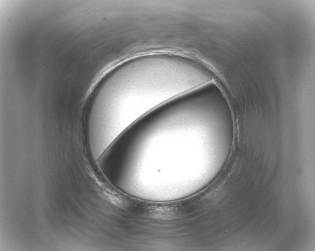 X0000066541501200603201412