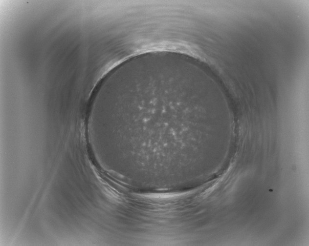 X0000066541505200603201412