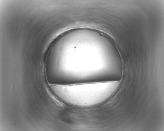 X0000066541507200603201412