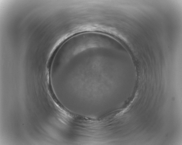 X0000066541509200603201412