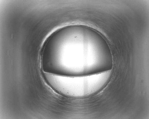 X0000066541510200603201412