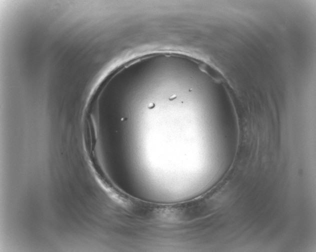 X0000066541511200603201412