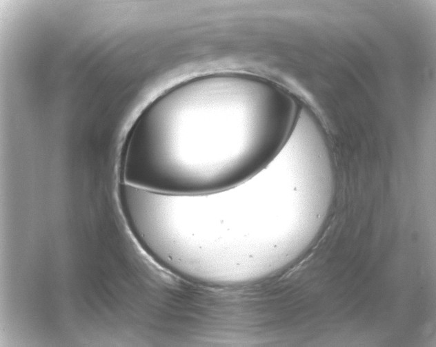 X0000066541512200603201412