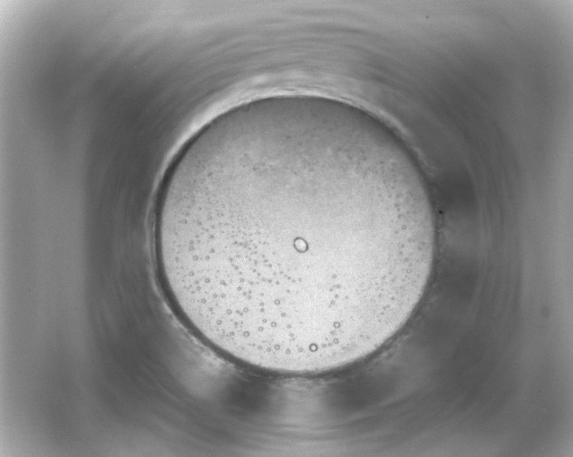 X0000066541514200603201412