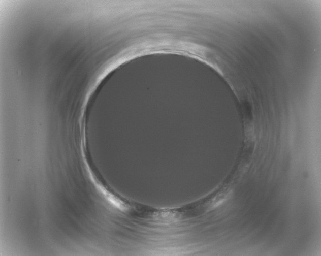 X0000066541515200603201412