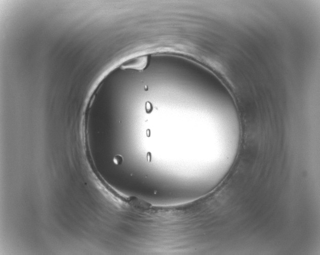 X0000066541516200603201412