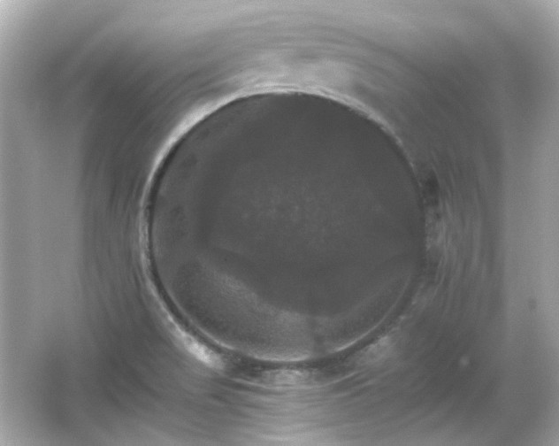 X0000066541517200603201412