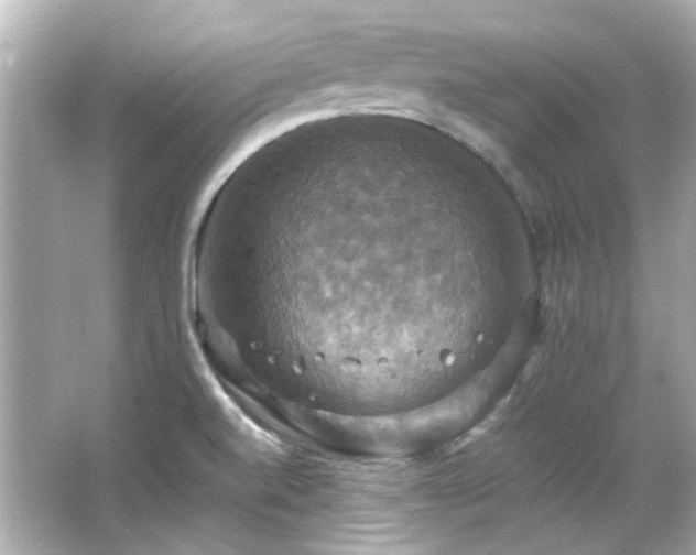 X0000066541520200603201412