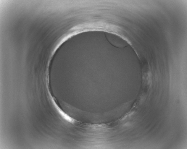 X0000066541523200603201412