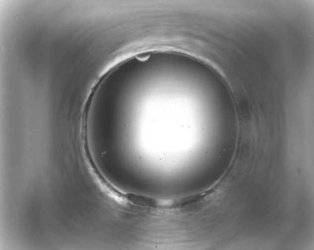 X0000066541526200603201412