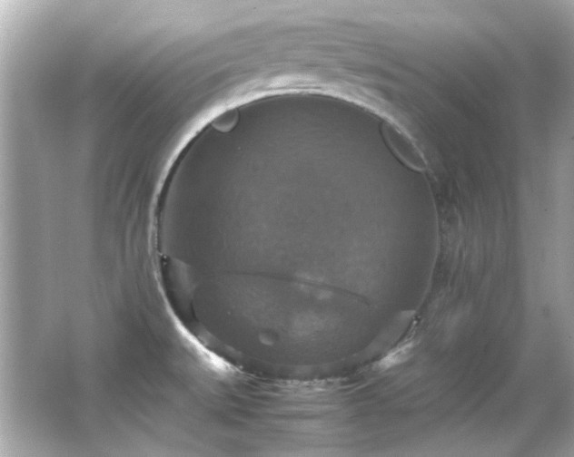 X0000066541527200603201412