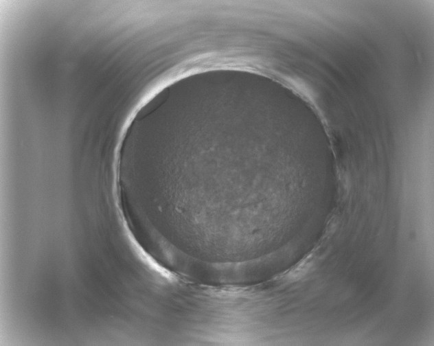 X0000066541528200603201412