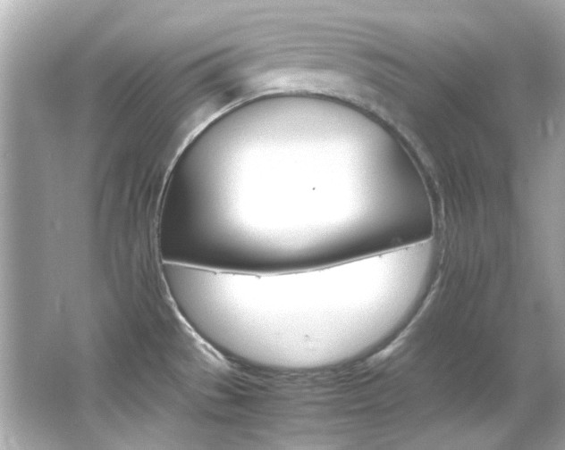 X0000066541529200603201412