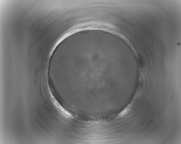 X0000066541530200603201412