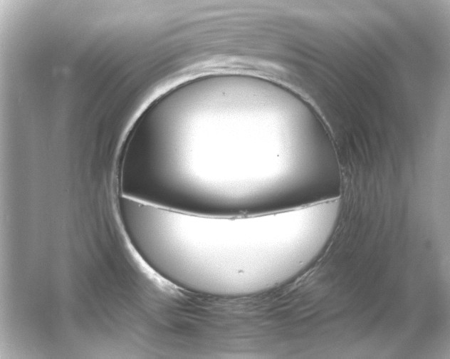 X0000066541531200603201412