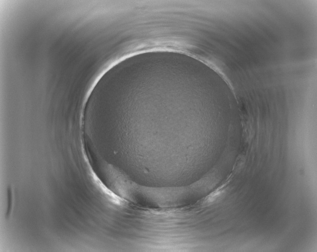 X0000066541532200603201412