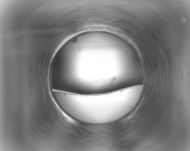 X0000066541533200603201412