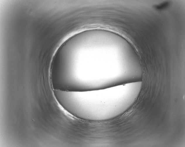 X0000066541535200603201412