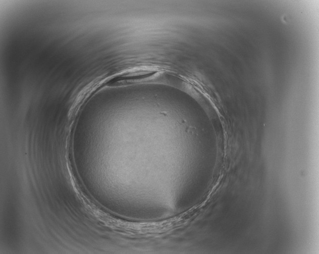 X0000066540001200603241423