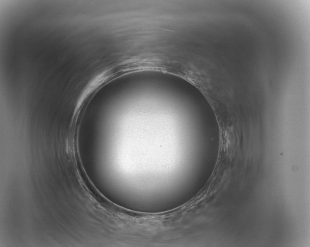 X0000066540004200603241423