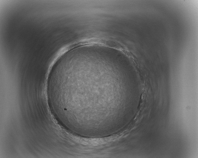 X0000066540006200603241423