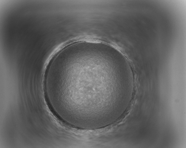 X0000066540007200603241423