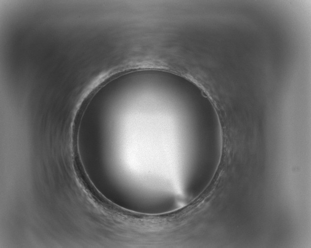 X0000066540008200603241423