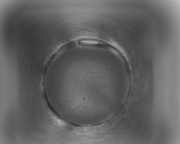 X0000066540009200603241423