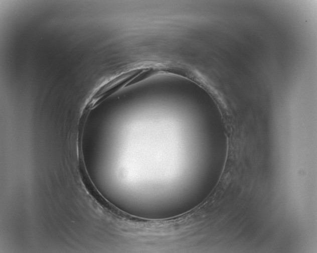 X0000066540011200603241423