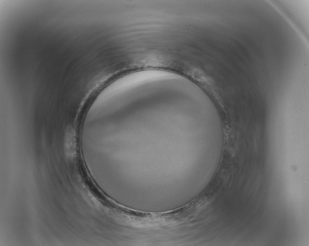 X0000066540012200603241423