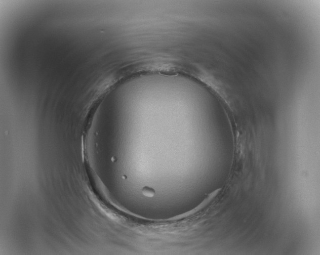 X0000066540013200603241423