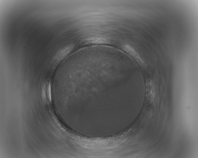 X0000066540014200603241423